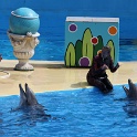 Marineland - Dauphins - 045